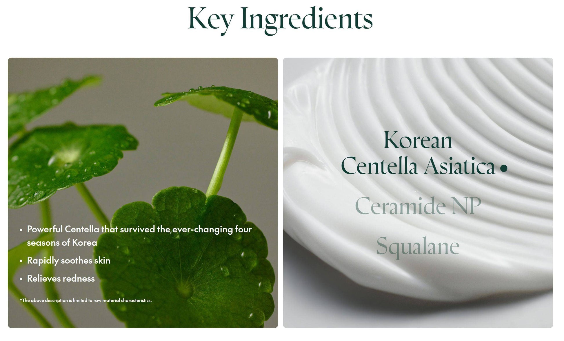 Purito SEOUL - Wonder Releaf Centella Cream Unscented