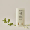 Beauty of Joseon Matte sun stick : Mugwort + Camelia 18g - Haru Beauty